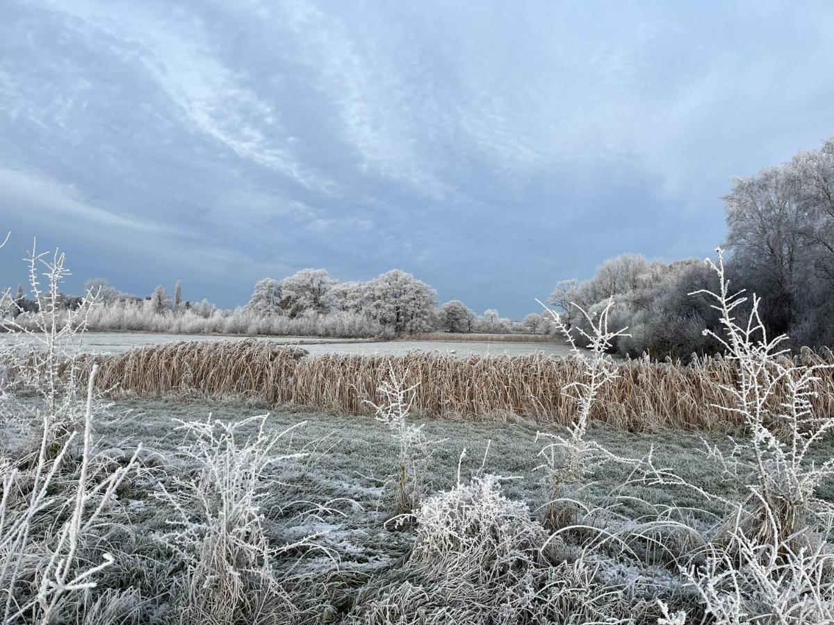 Sfeervol Familielandhuis In De Groene Kempen Baarle-Hertog Esterno foto