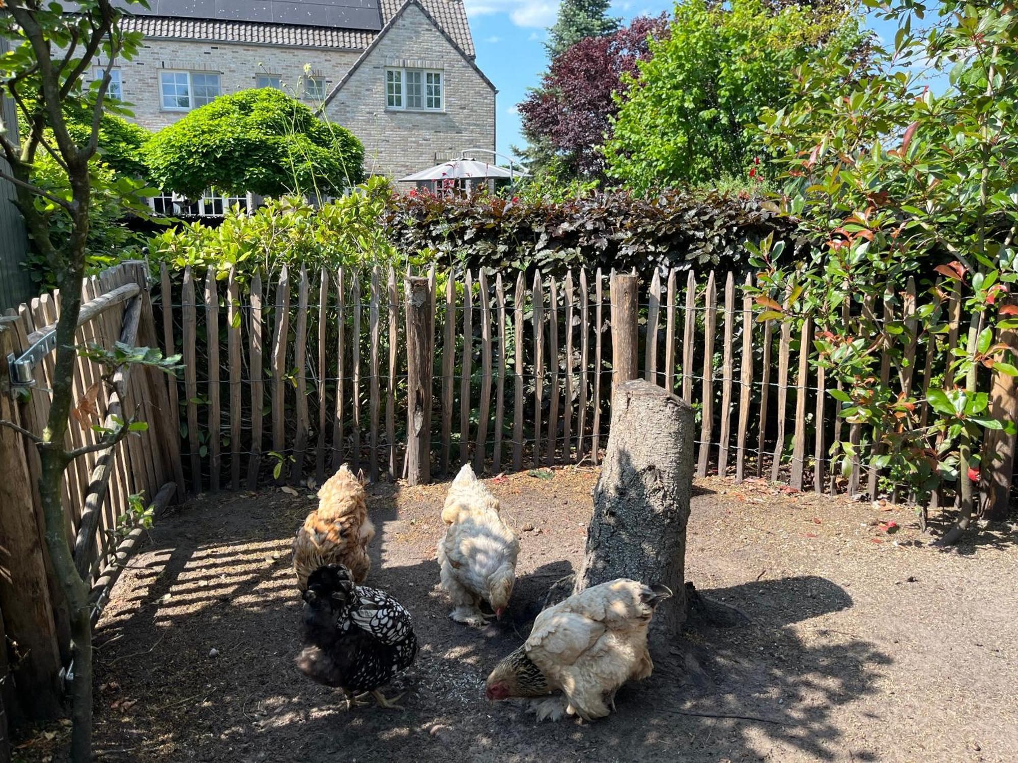 Sfeervol Familielandhuis In De Groene Kempen Baarle-Hertog Esterno foto